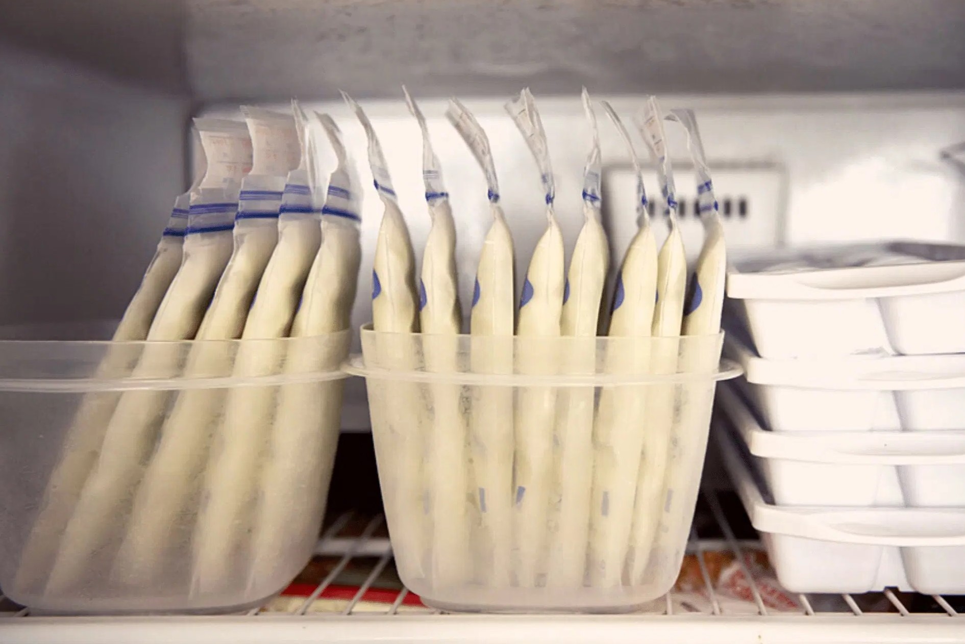 How To Organize Breast Milk In Freezer